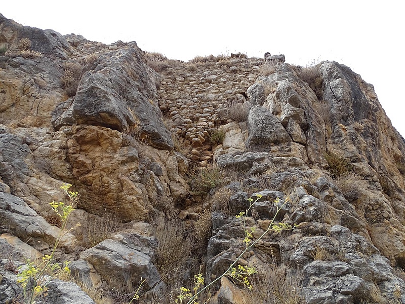 Imagen de Castillo de Colomera